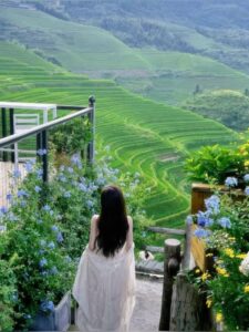 #BN031 TÔI TỪNG NGHĨ MÌNH SẼ RẤT YÊU ANH ẤY